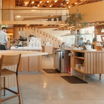 Shavi Roasters